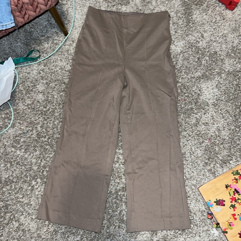 Ann Taylor Petite Pleated Pants Size XSP